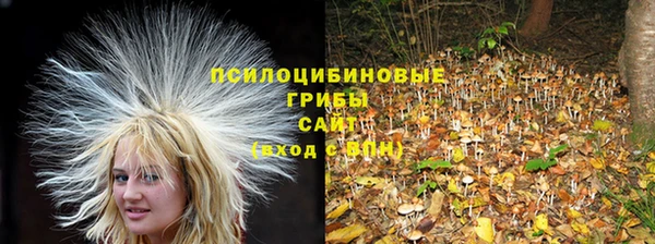 гидра Баксан